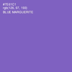 #7E61C1 - Blue Marguerite Color Image